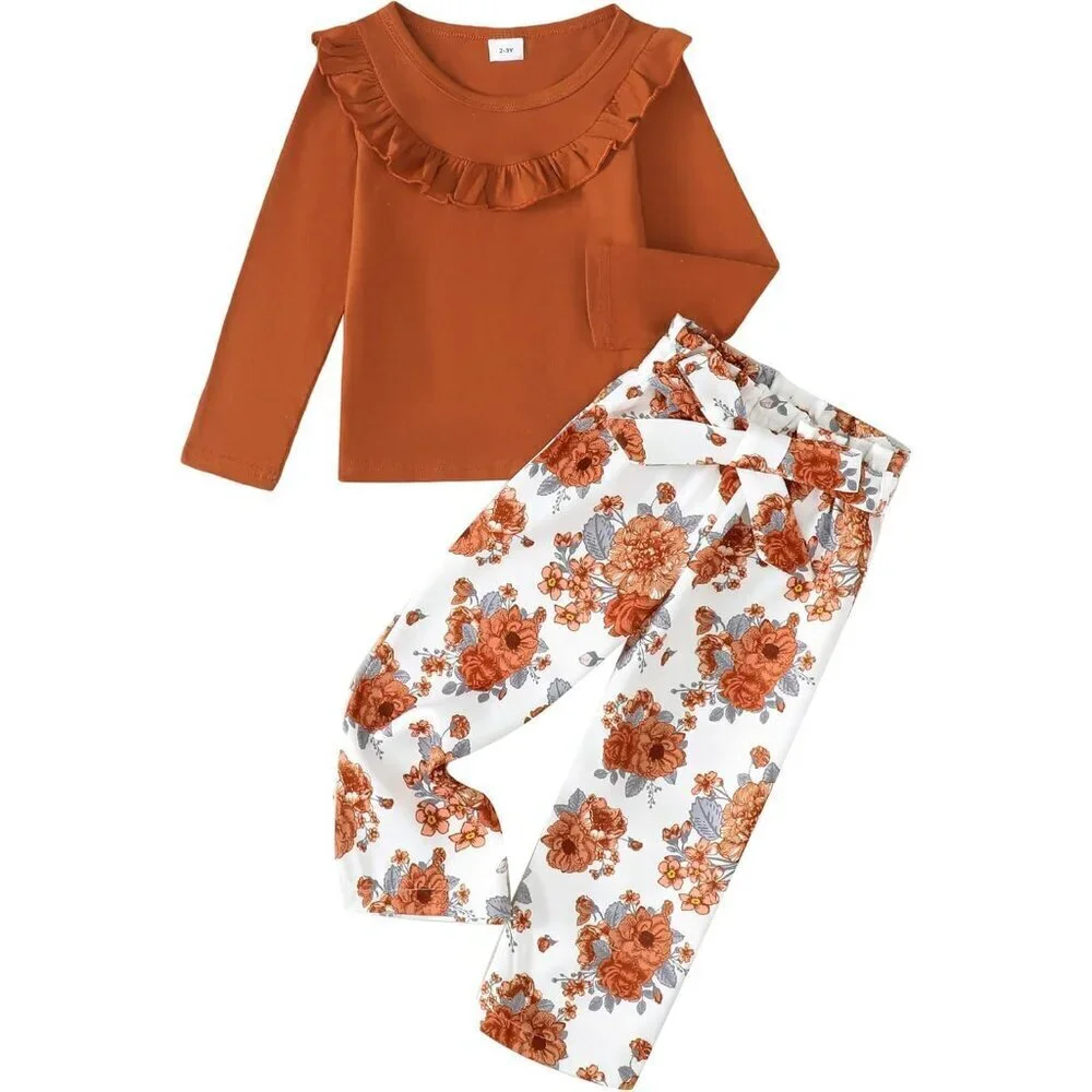 Little Girls Clothes 2 Piece Outfit Kids Long Sleeve T Shirt Pant Set Cute Fall